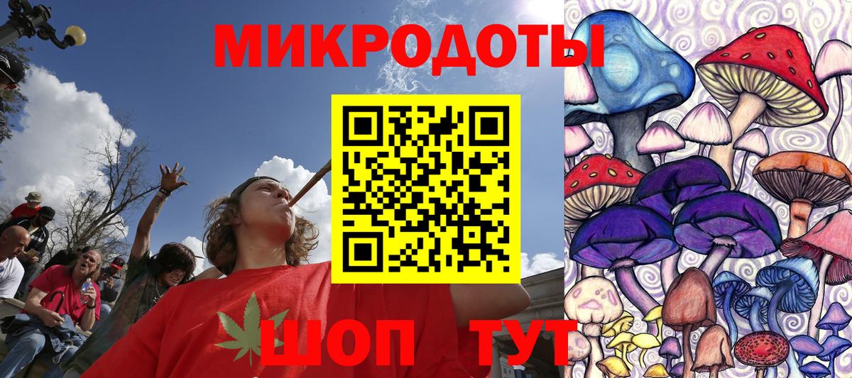 Галлюциногенные грибы Psilocybine cubensis Жуковский