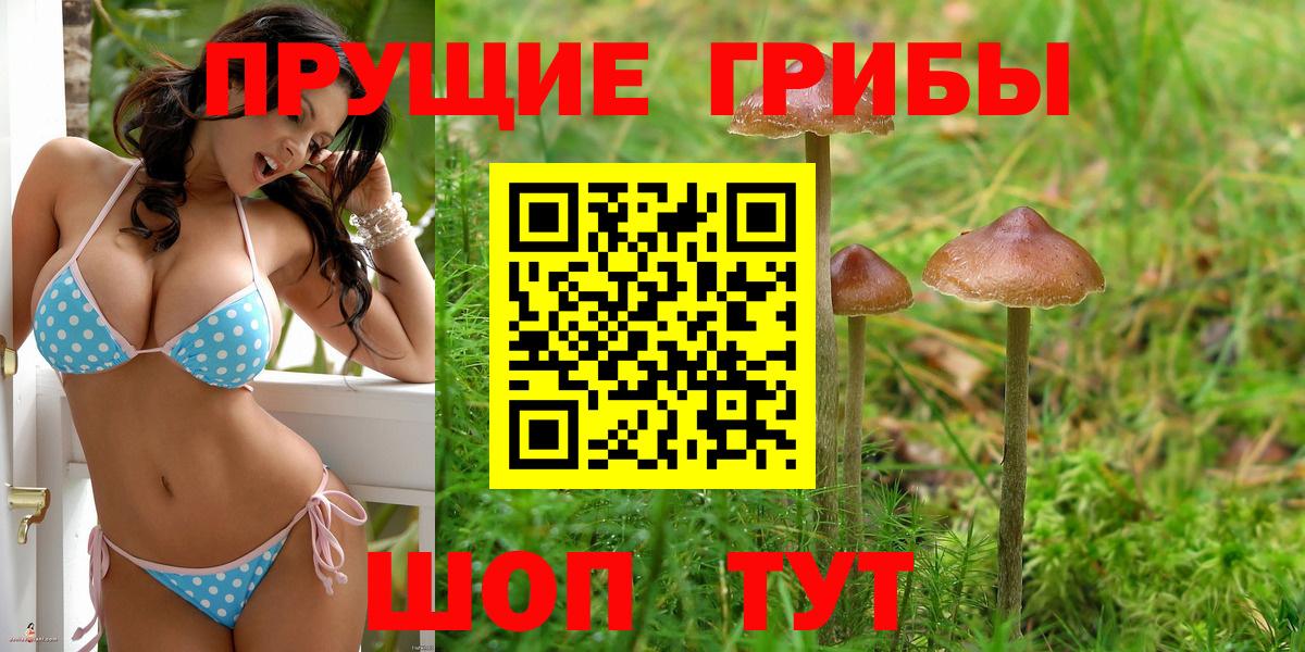 Псилоцибиновые грибы Psilocybe  Галлюциногенные грибы Cubensis  Вход с VPN  Жуковский 